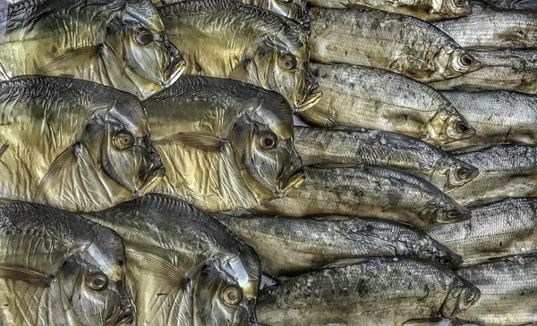 Réanimation : Défis Éthiques et Dilemmes Cruciaux à Considérer