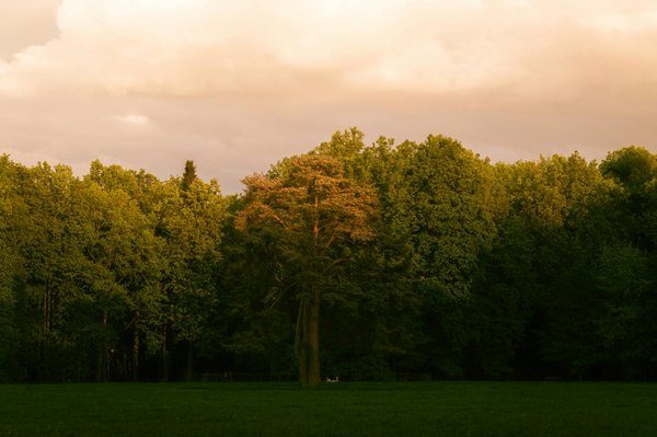 Les retraites bien-être les plus prisées